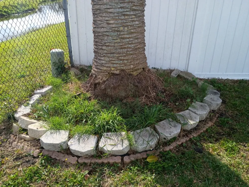 Reliable yard maintenance in Largo, FL - Leaf Cut Lawn Care