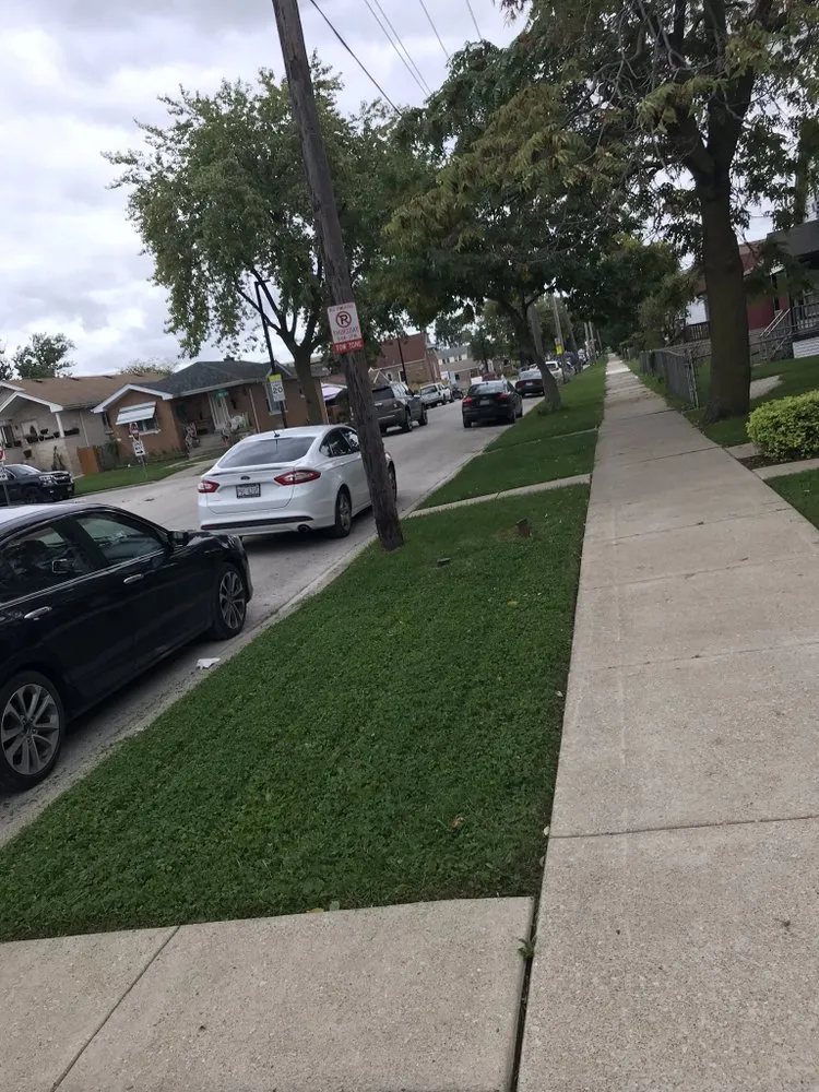 Professional outdoor landscaping for residential properties in Chicago, IL by Leaf Green Lawn Care