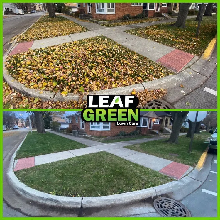 Trusted landscape design in Chicago, IL - Leaf Green Lawn Care