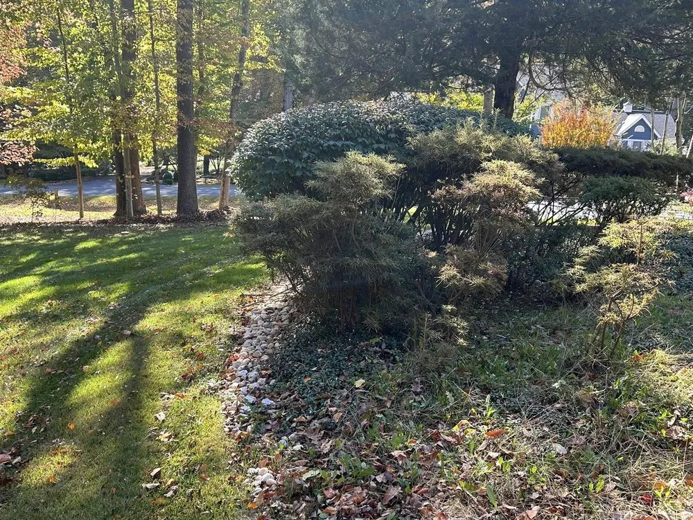 Local yard cleanup service experts serving Westminster, MD - Leaf it 2 Us