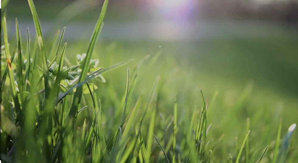 Trusted garden landscaping near you in Bow, NH by Leaf It To Me