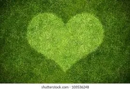 Expert landscaping services in Bow, NH - Leaf It To Me