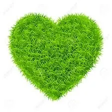 Trusted landscape installation in Bow, NH by Leaf It To Me