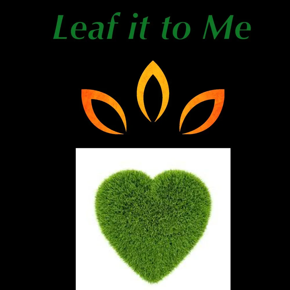 Affordable yard maintenance in Bow, NH by Leaf It To Me
