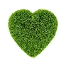 Trusted landscaping services experts serving Bow, NH - Leaf It To Me