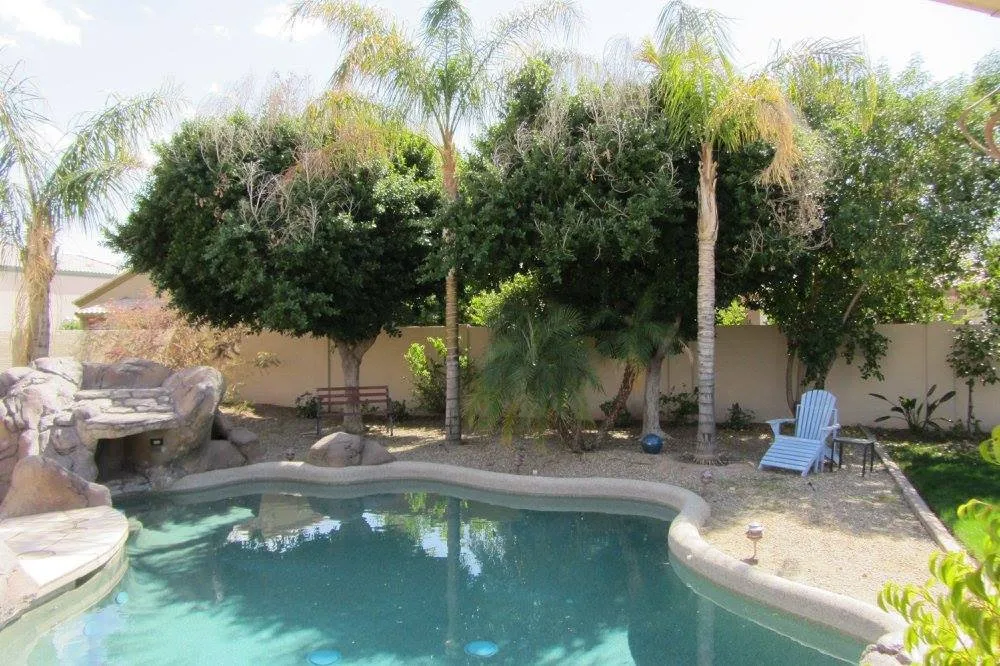 Expert yard maintenance near you in Phoenix, AZ by Leaf It To Me