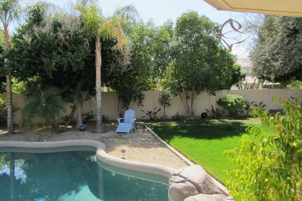 Top-rated yard cleanup service in Phoenix, AZ - Leaf It To Me