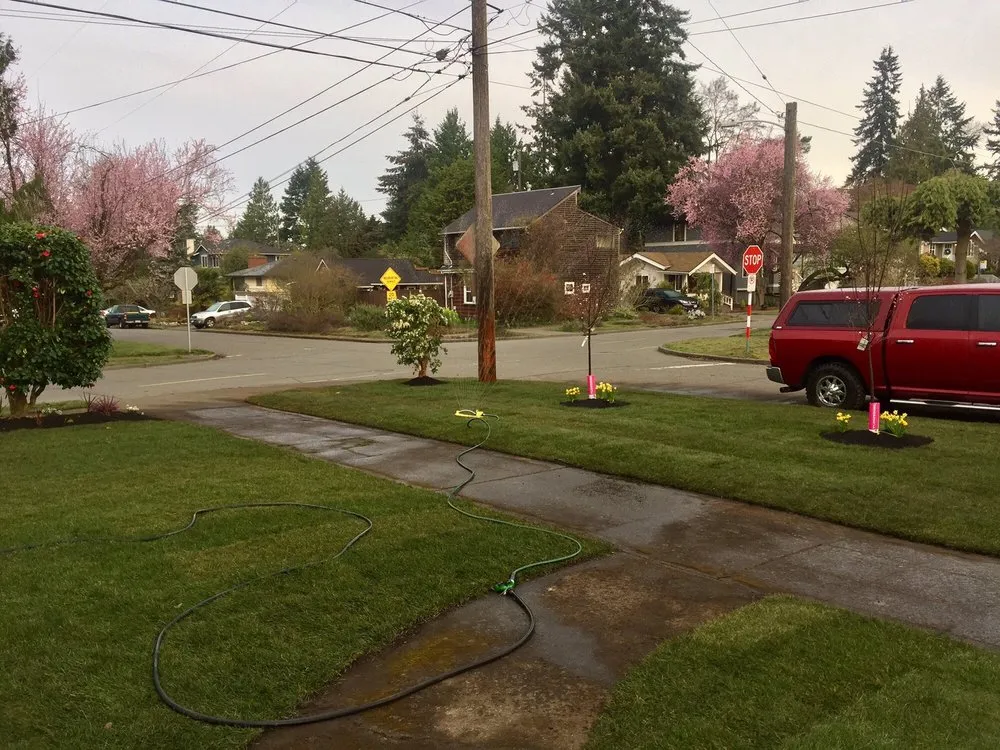 Local yard cleanup service near you in Seattle, WA by Leaf It To Me