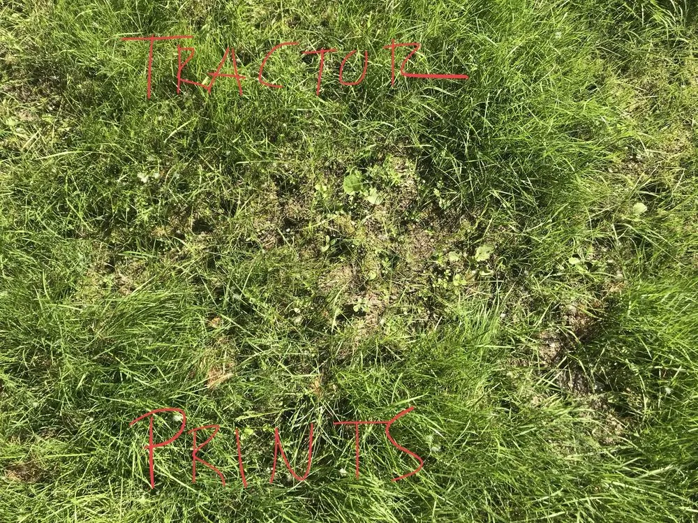 Local lawn mowing service near you across Seattle, WA - Leaf It To Me