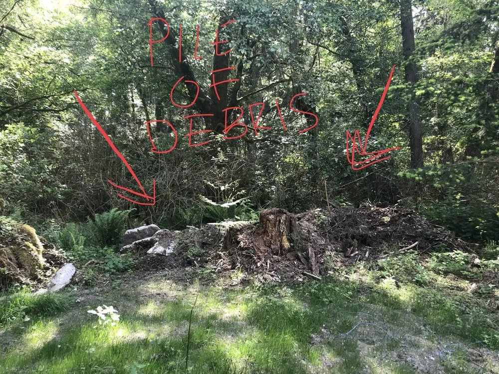 Trusted residential landscaping in Seattle, WA - Leaf It To Me