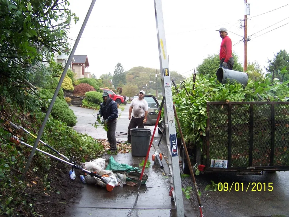 Affordable lawn mowing service in Seattle, WA - Leaf It To Me