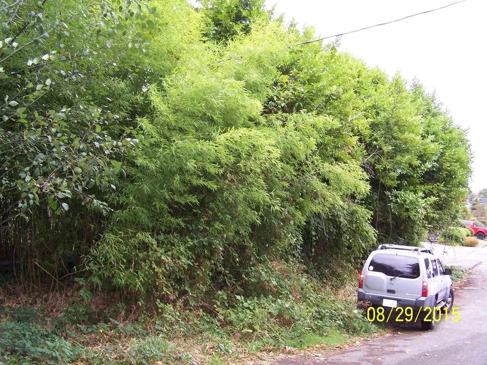 Trusted garden landscaping with custom design in Seattle, WA by Leaf It To Me