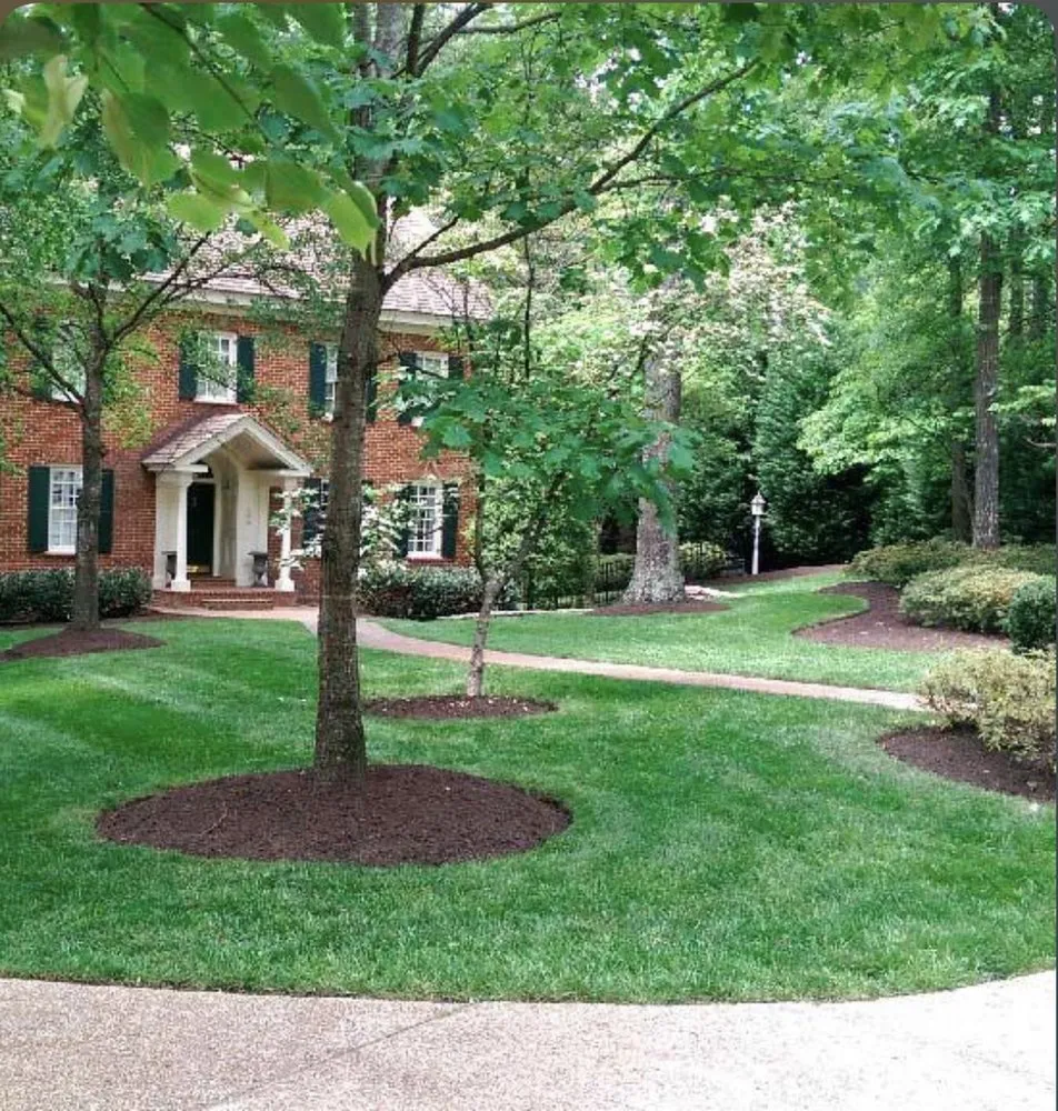 Affordable residential landscaping experts serving Big Oak valley, CA - Leaf it to Us