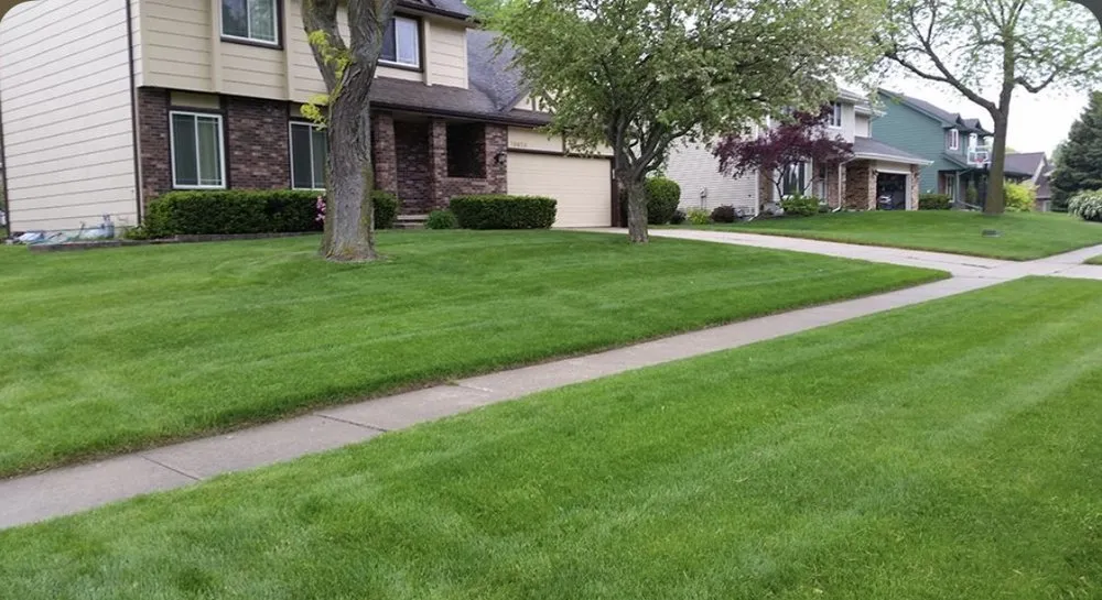 Top-rated landscape design near you in Big Oak valley, CA by Leaf it to Us