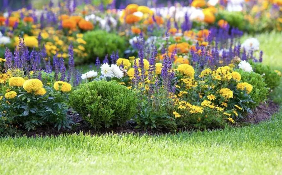 Local yard maintenance in Central Islip, NY - Leaf It To Us Landscaping