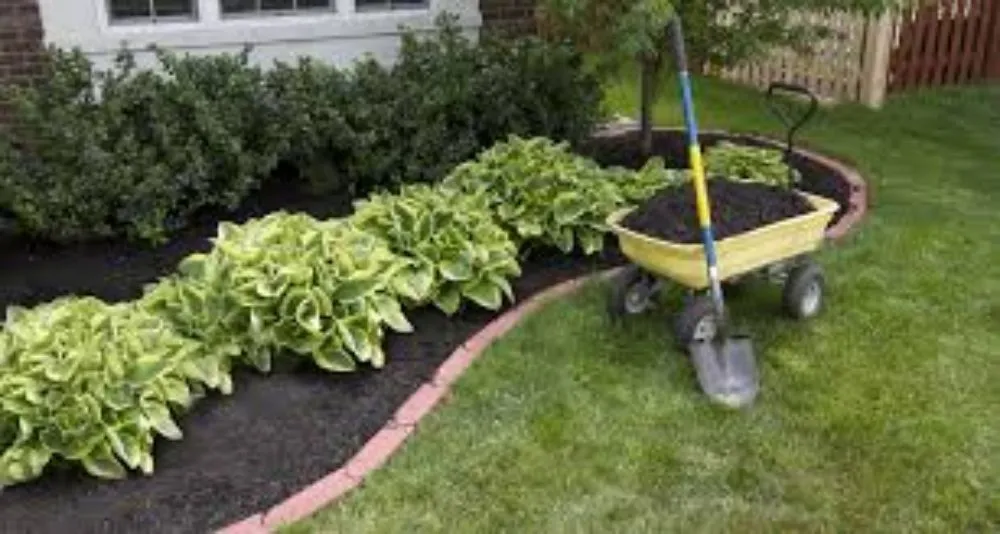 Local yard maintenance in Central Islip, NY - Leaf It To Us Landscaping