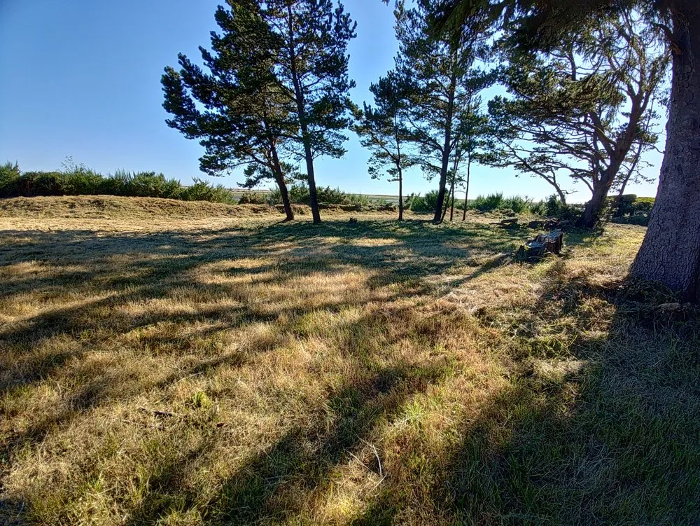 Professional landscaping services for outdoor upgrades across Centralia, WA - Leaf It To Us Lawncare