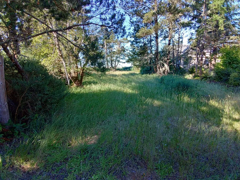 Professional lawn mowing service in Centralia, WA by Leaf It To Us Lawncare