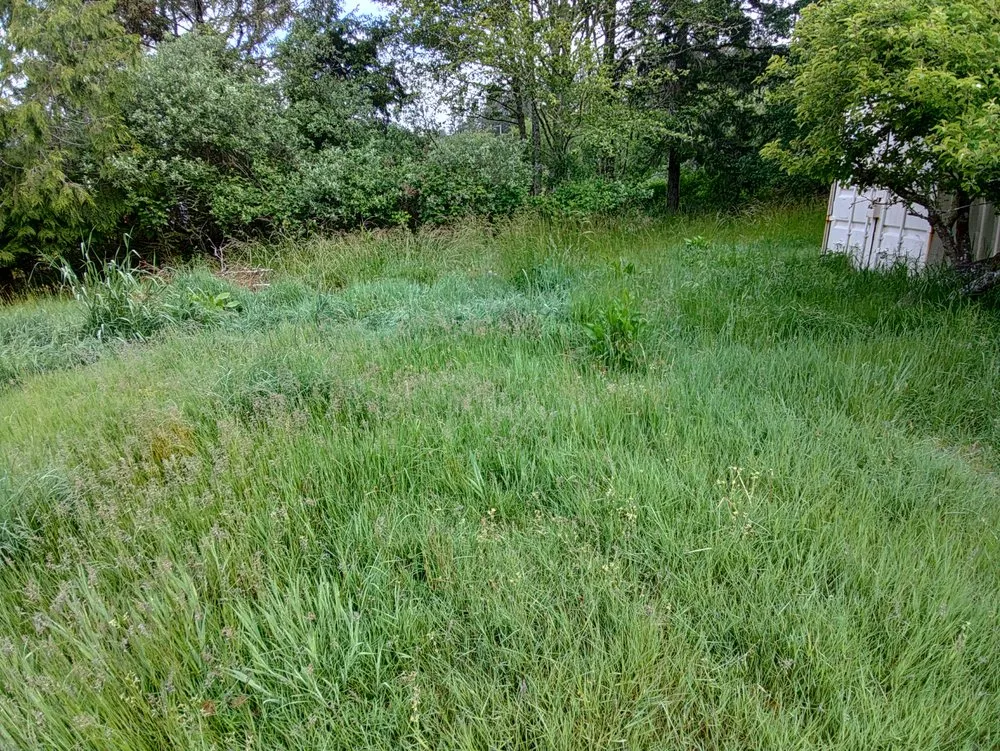 Reliable residential landscaping in Centralia, WA by Leaf It To Us Lawncare