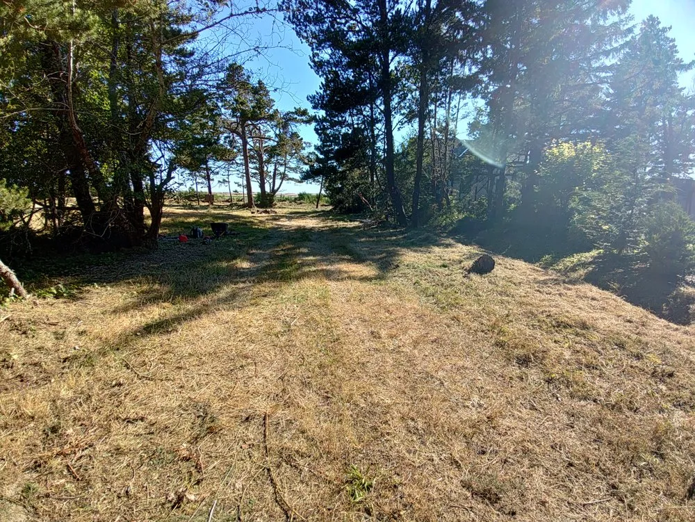 Expert lawn care service for residential properties in Centralia, WA by Leaf It To Us Lawncare