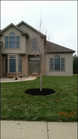 Reliable yard maintenance in Villa Grove, IL - Leaf It To Us Total Tree Care Plus