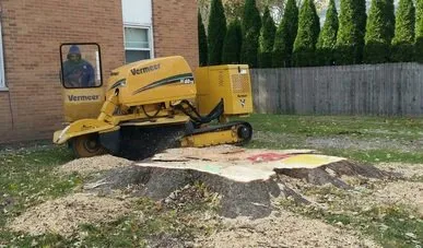 Reliable landscape installation experts serving Villa Grove, IL - Leaf It To Us Total Tree Care Plus