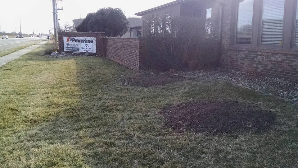 Professional lawn care service in Villa Grove, IL by Leaf It To Us Total Tree Care Plus