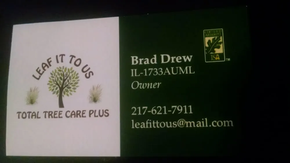 Professional yard cleanup service experts serving Villa Grove, IL - Leaf It To Us Total Tree Care Plus