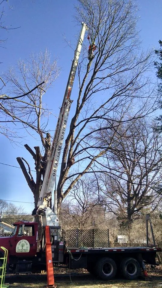 Top-rated lawn care service in Villa Grove, IL by Leaf It To Us Total Tree Care Plus