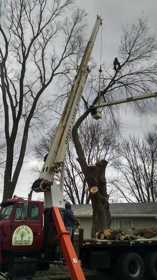 Trusted lawn care service in Villa Grove, IL - Leaf It To Us Total Tree Care Plus