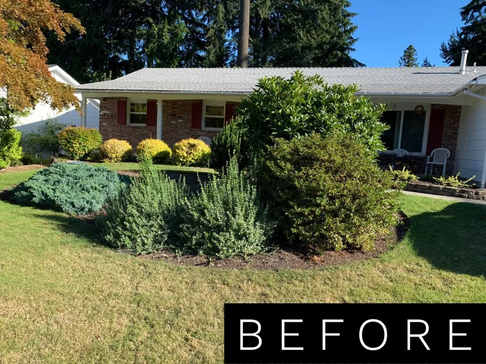 Reliable yard maintenance for homes in Portland, OR by Leaf Landscape