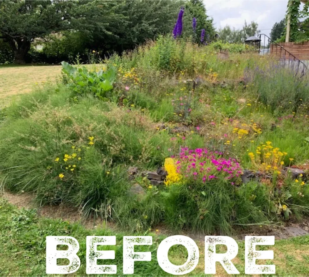 Affordable lawn care service for homes in Portland, OR by Leaf Landscape