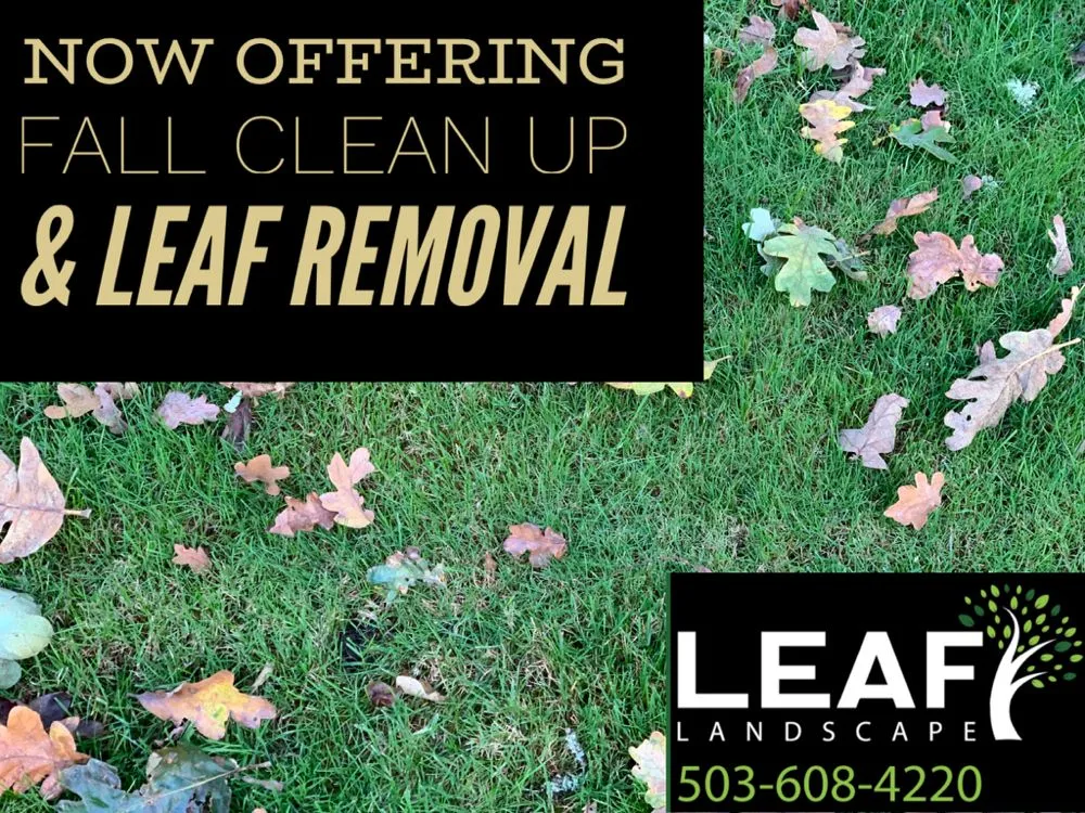Local landscape installation experts serving Portland, OR - Leaf Landscape