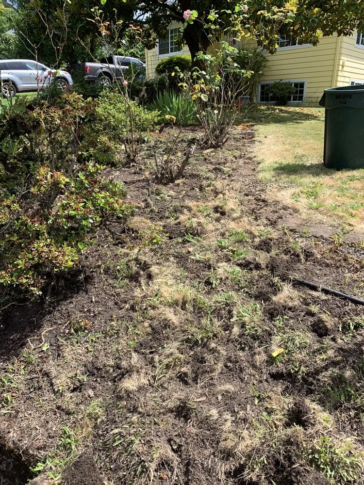 Expert lawn mowing service experts serving Portland, OR - Leaf Landscape