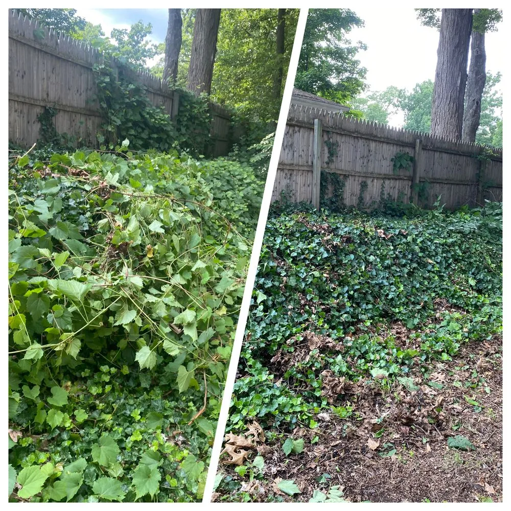 Affordable landscape installation for outdoor upgrades in Niles, MI by Leaf-Les Lawncare