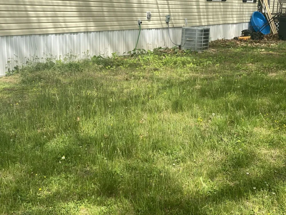 Top-rated landscape installation experts serving Niles, MI - Leaf-Les Lawncare