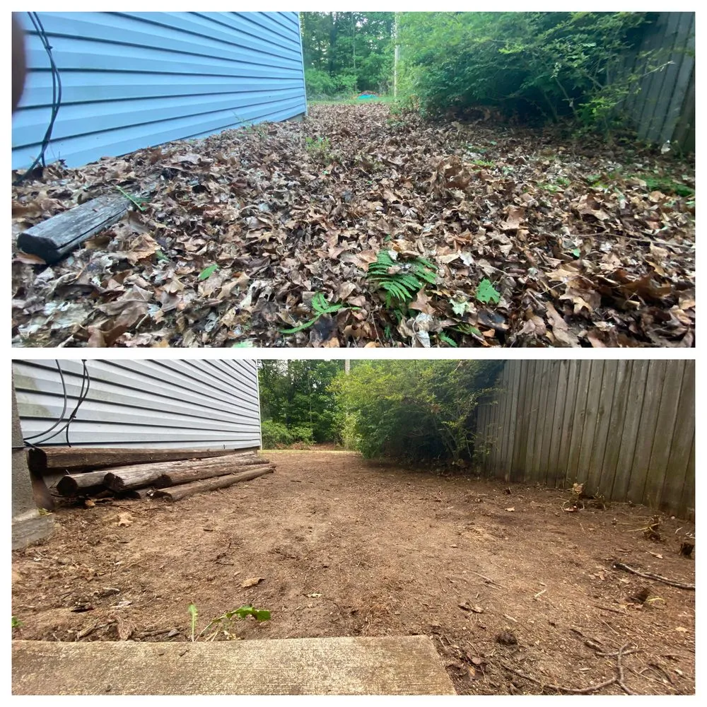 Local yard cleanup service experts serving Niles, MI - Leaf-Les Lawncare