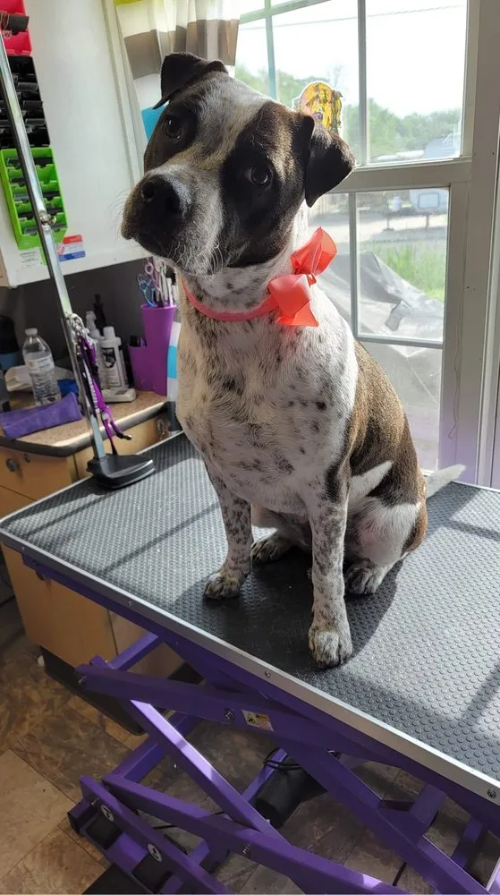 Trusted yard maintenance for outdoor upgrades in Niles, MI by Leaf-Les Lawncare