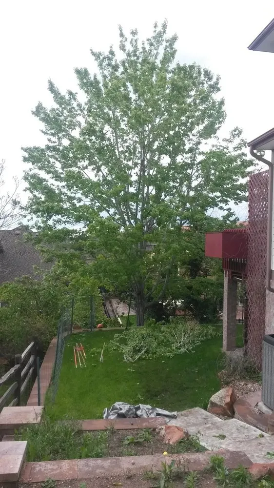 Trusted landscape installation experts serving Aurora, CO - Leaf Life Tree Service