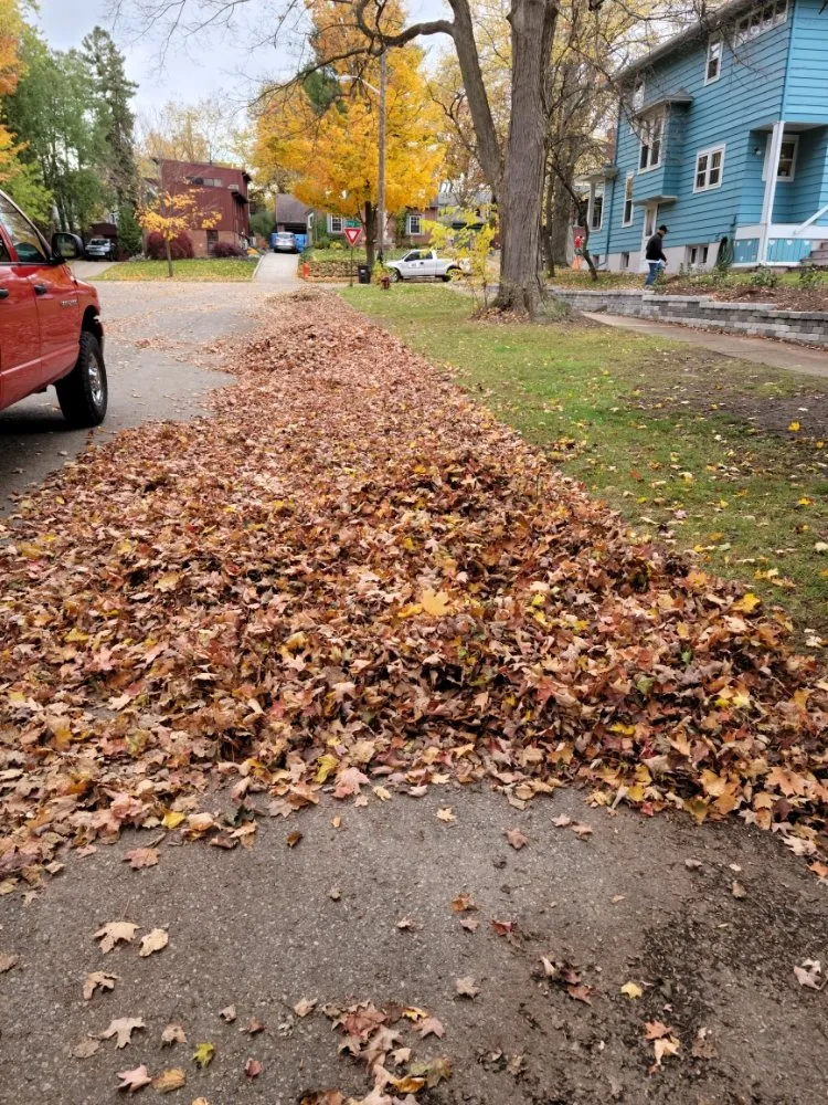 Professional garden landscaping for residential properties across Ann Arbor, MI - Leaf Loaders