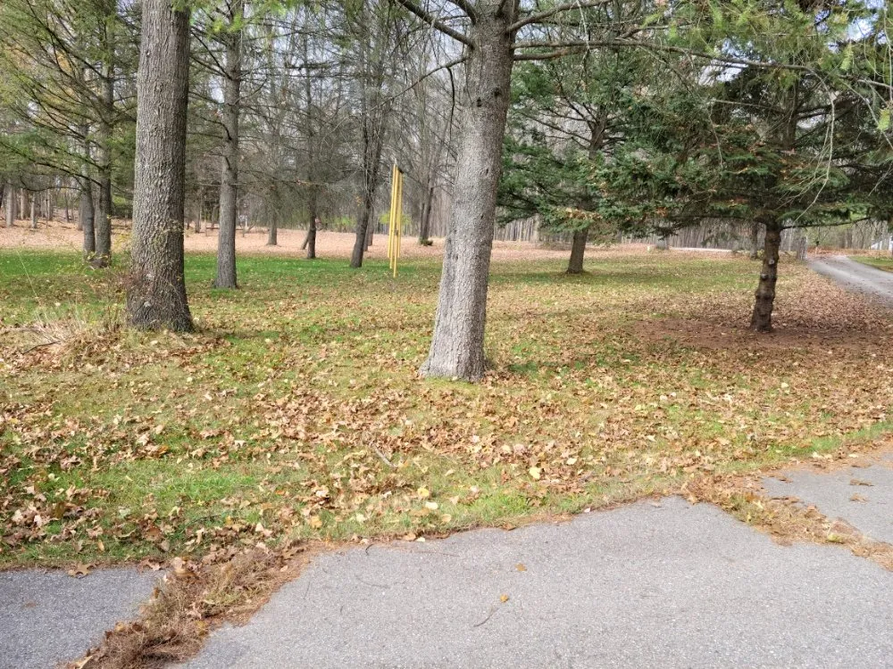 Top-rated yard maintenance in Ann Arbor, MI by Leaf Loaders