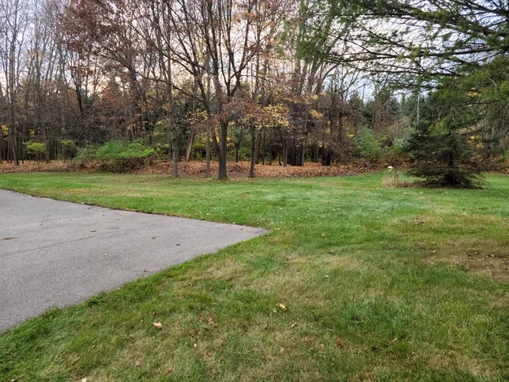 Custom yard maintenance in Ann Arbor, MI by Leaf Loaders