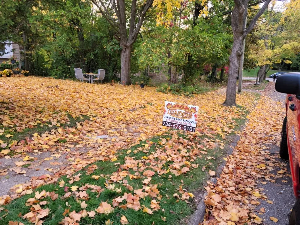 Top-rated residential landscaping experts serving Ann Arbor, MI - Leaf Loaders