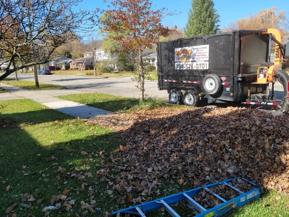 Reliable yard maintenance for residential properties in Ann Arbor, MI by Leaf Loaders