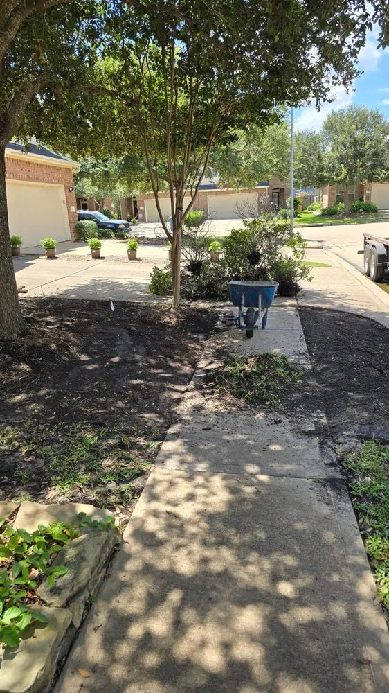 Trusted lawn care service for homes in Katy, TX by Leaf Logic Design