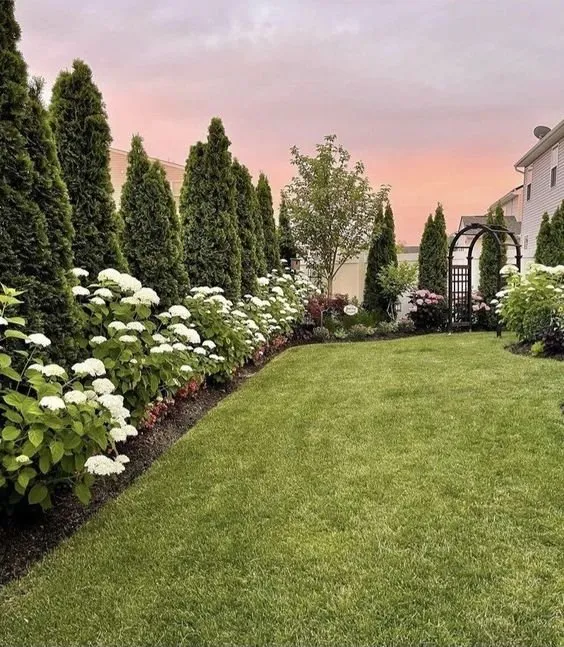 Trusted yard cleanup service in Katy, TX by Leaf Logic Design