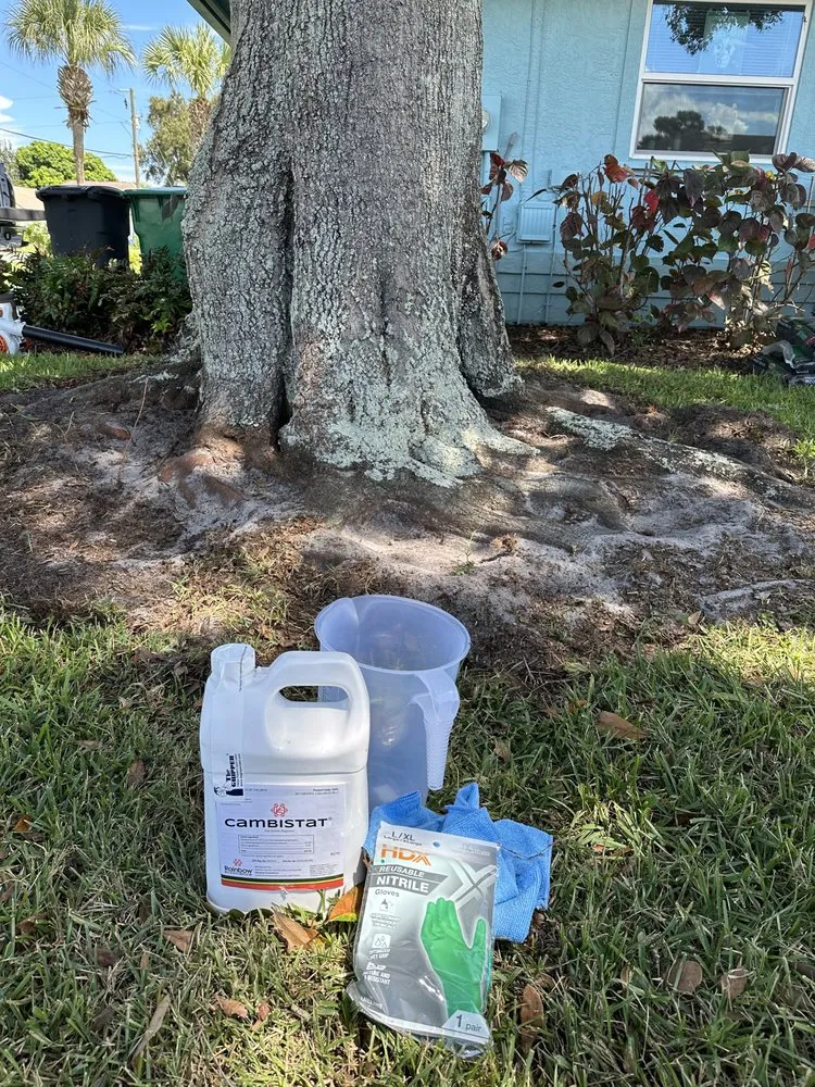 Top-rated residential landscaping in Vero Beach, FL - Leaf Logic