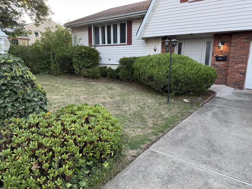 Affordable landscaping services for outdoor upgrades across Cliffside Park, NJ - Leaf of Faith Landscaping