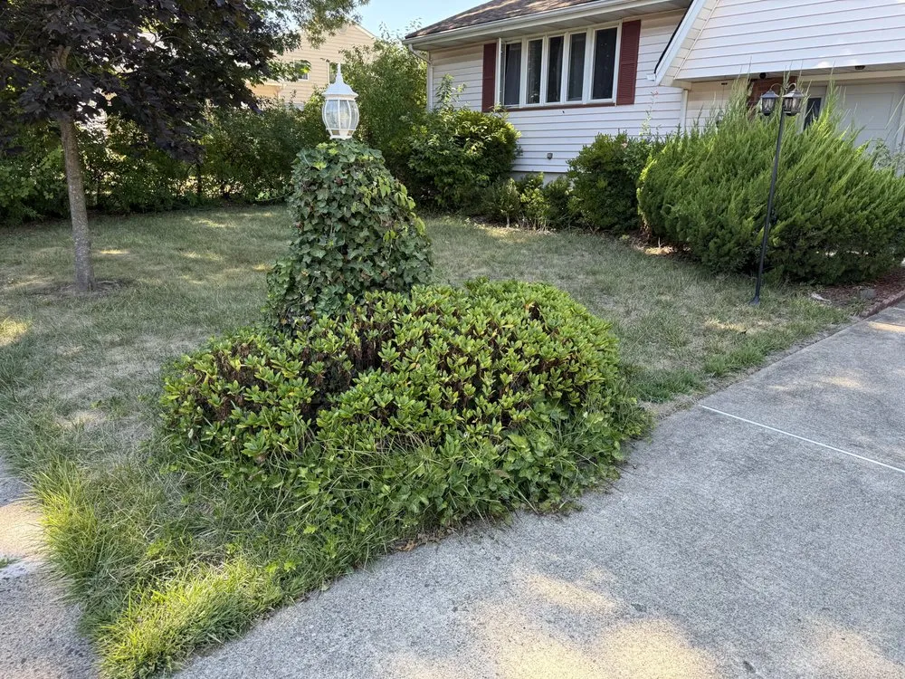 Affordable lawn care service in Cliffside Park, NJ - Leaf of Faith Landscaping