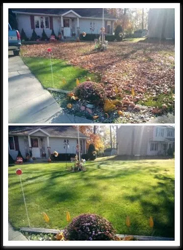 Trusted landscape design in Warsaw, IN - Leaf Relief